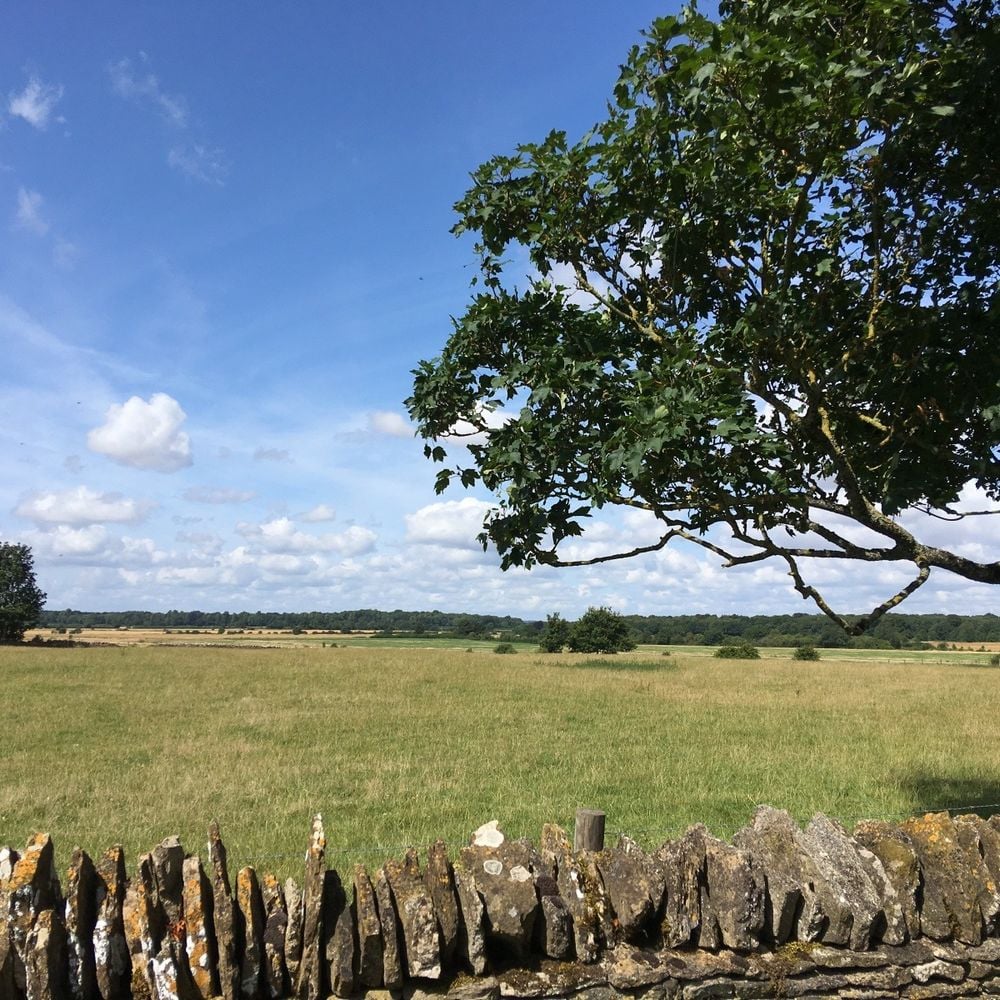Image for article: RURAL AFFAIRS-Basic Payment Scheme- No Greening