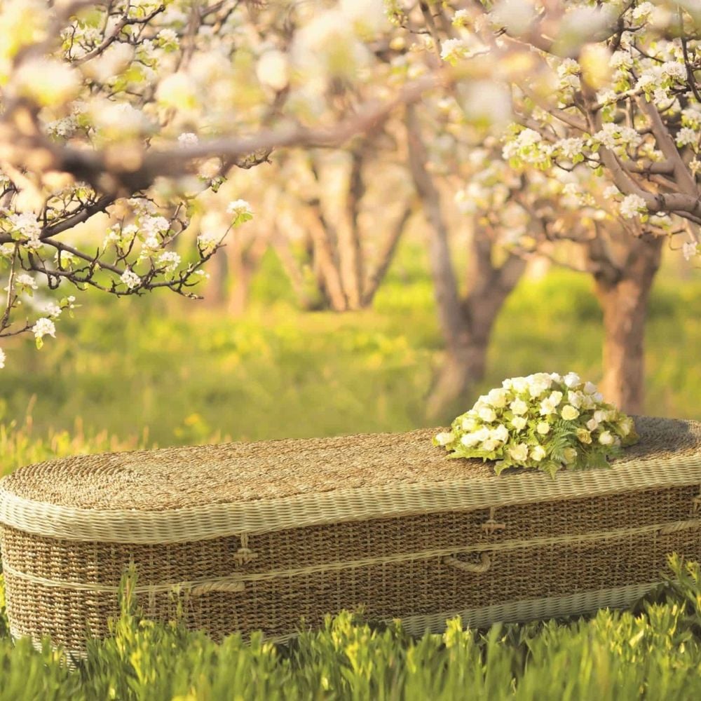 Image for article: Daunted by Probate?