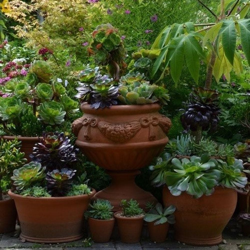 Image for article: Whichford Pottery, Whichford, Nr Shipston-on-Stour, CV36 5PG