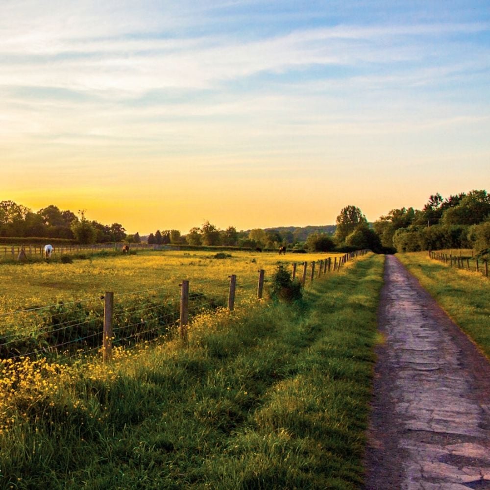 Cotswold Rural Scenes