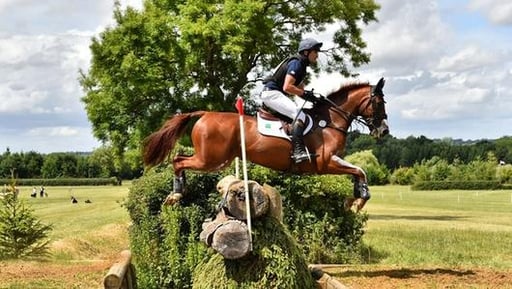 MSH Bonanza Asten le Wells 4 star