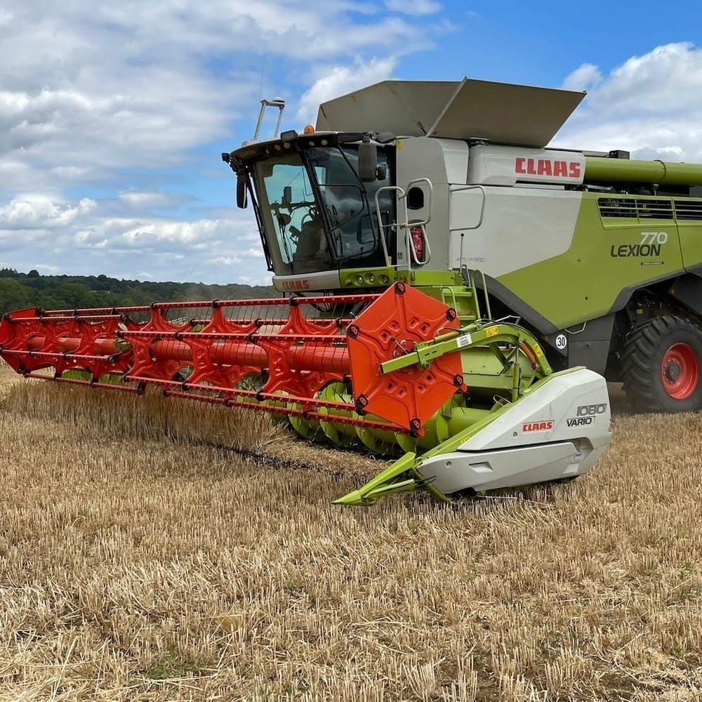 The war in Ukraine has had a devastating impact on the ability of areas of the world to obtain grain at all, let alone at affordable prices.