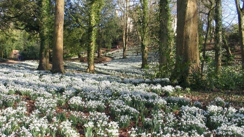 Flower Fields By Rococo Gardens