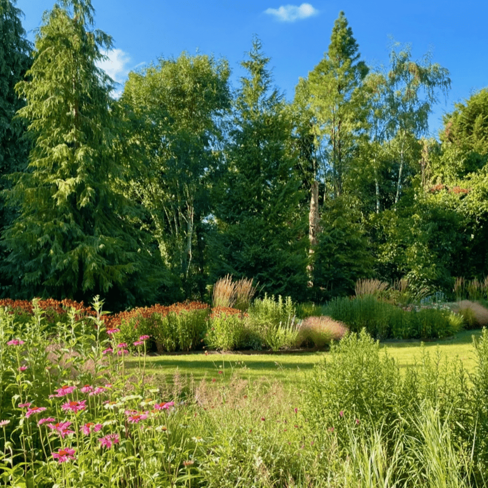 Image for article: Top tips for designing a classic English garden
