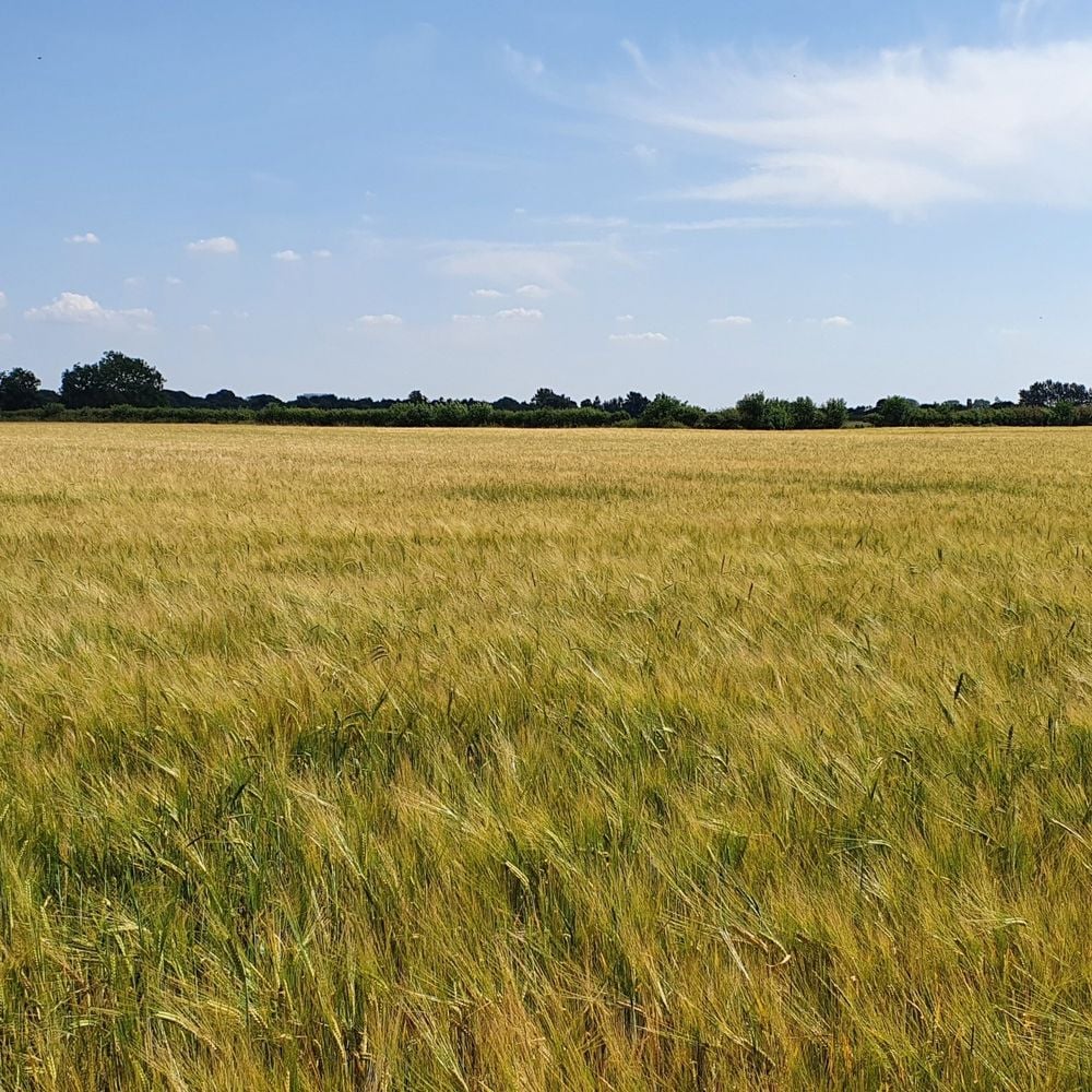 Image for article: Rural Land Sales – Review of 2023 and Outlook for 2024