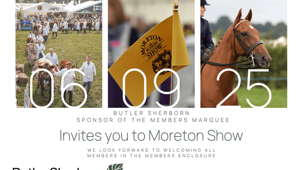 Moreton Show