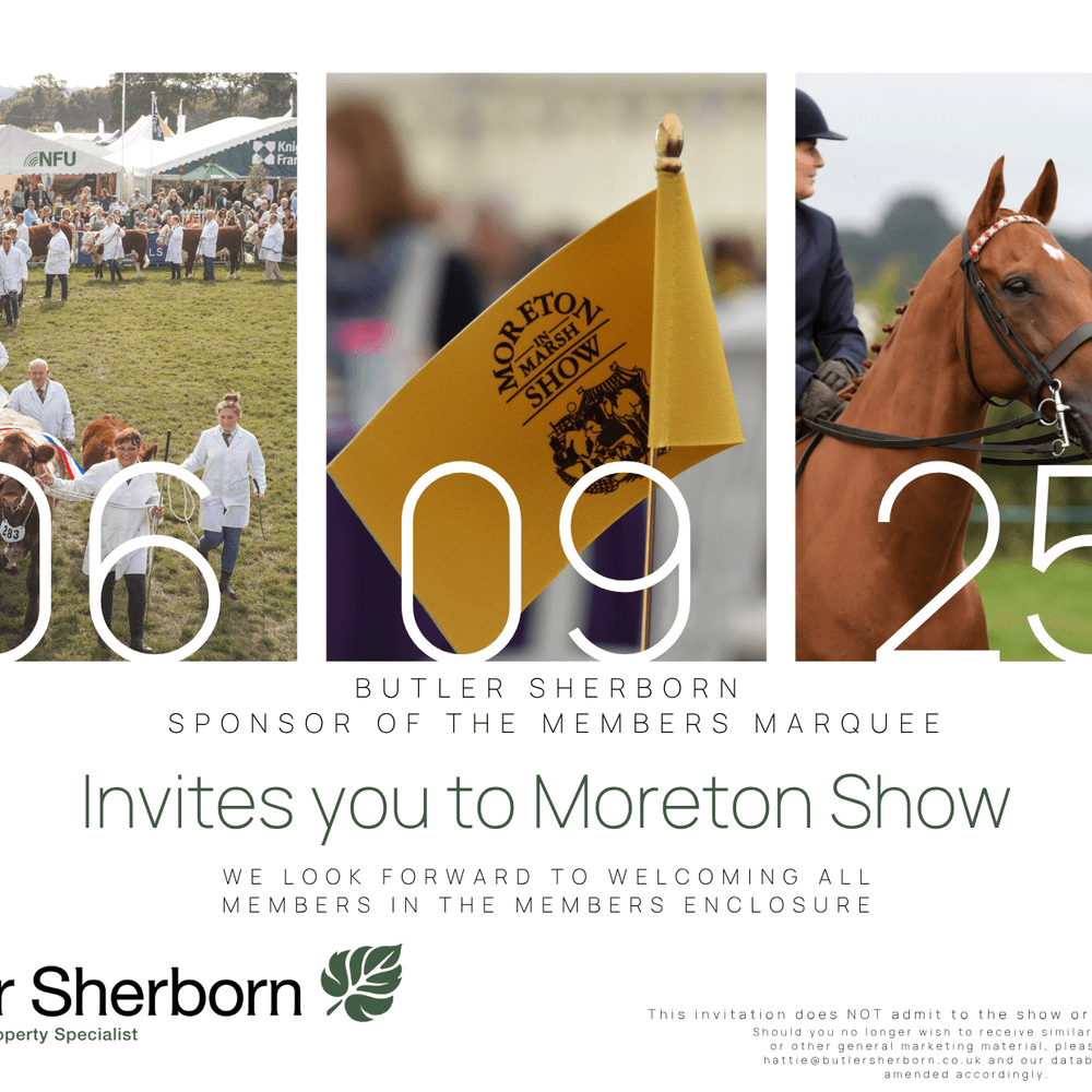 Moreton Show
