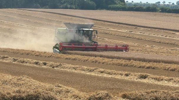 Cotswold Rural Scenes