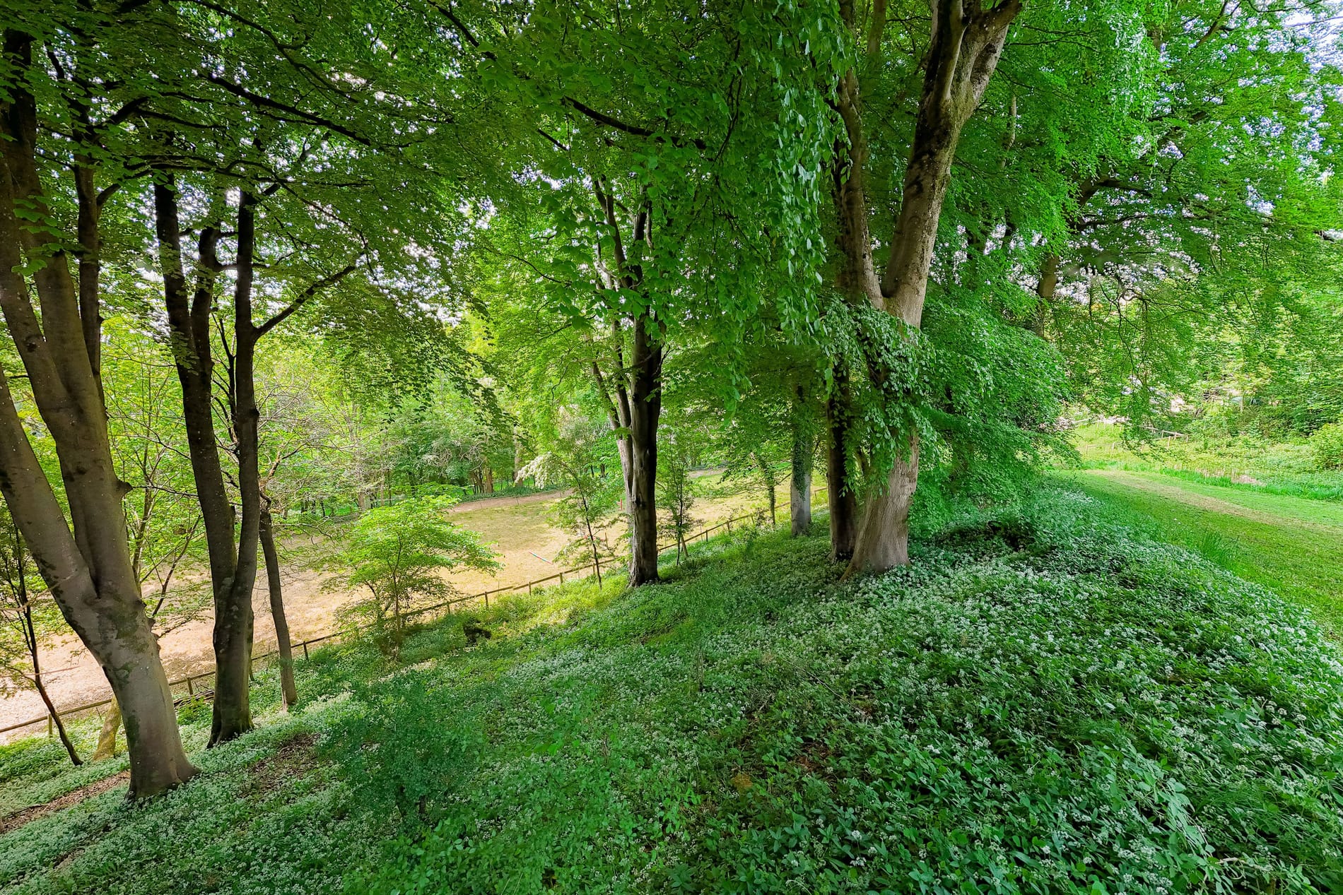 Woodside Cottage Garden