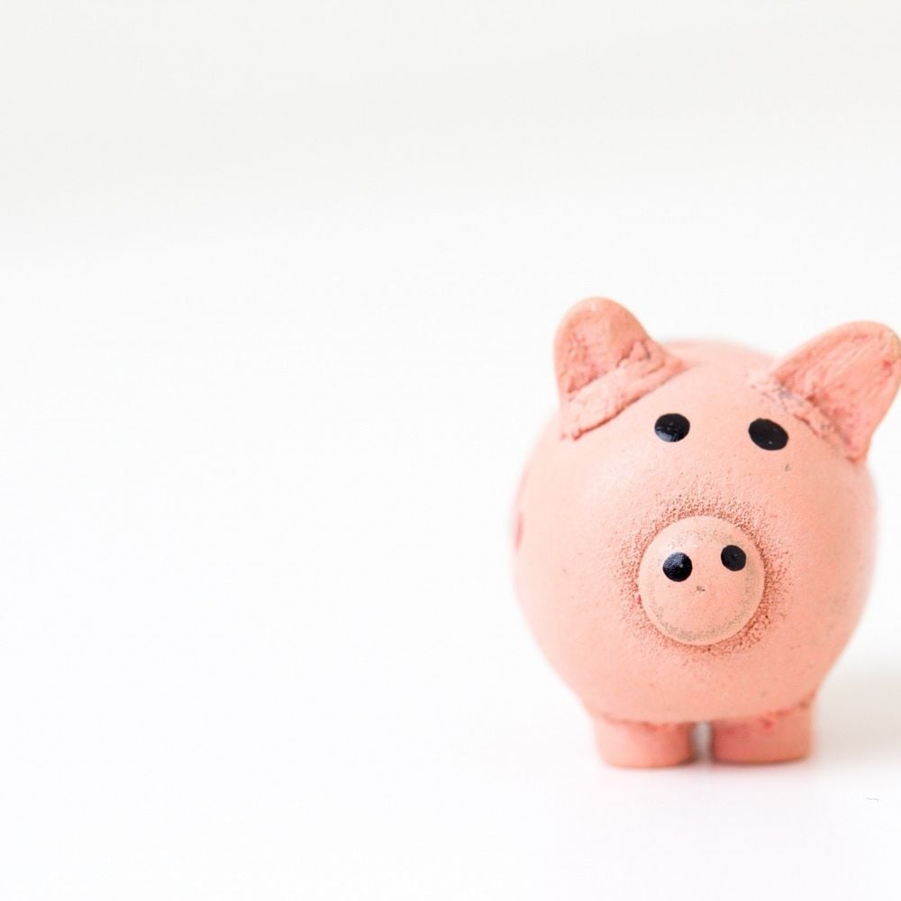 Image for article: Farmers begin receiving 2019 BPS payments