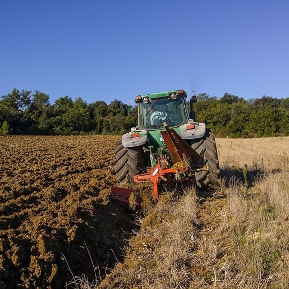Image for article: Net-Zero - What does it really mean for landowners?