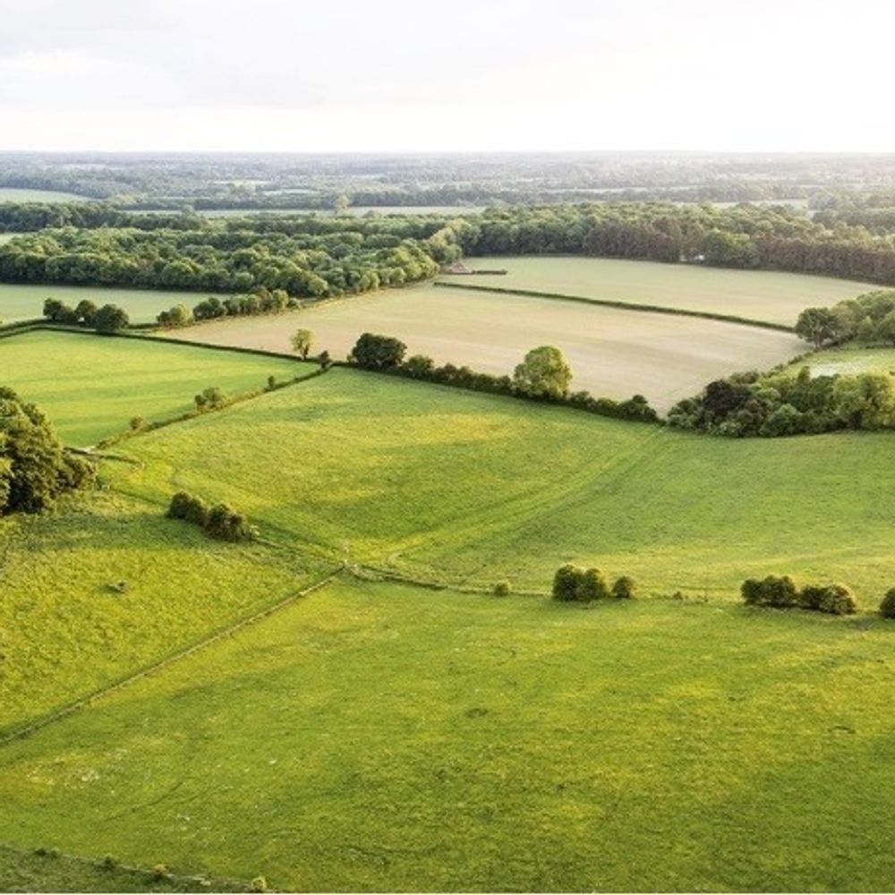 Whether you have a house, farm, estate or equestrian holding that needs valuing, we can help and have the market knowledge and expertise to do so.