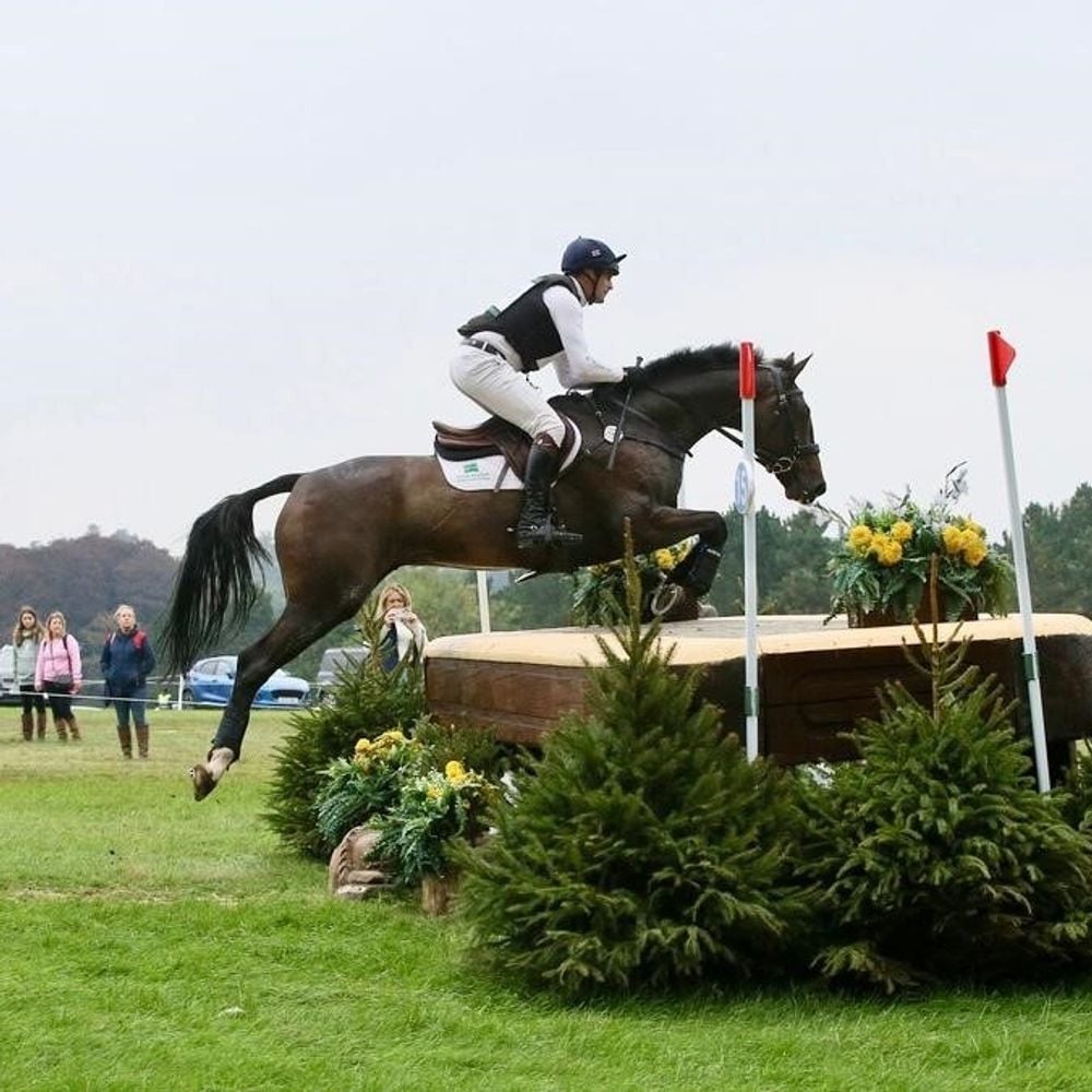 Image for article: Butler Sherborn Equestrian End of Season Round Up