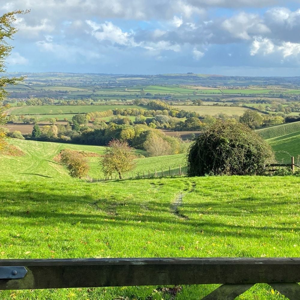 Image for article: Lump Sum Exit Scheme details announced for England