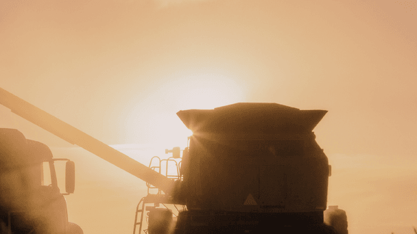 Daily Mail Image Back British Farming