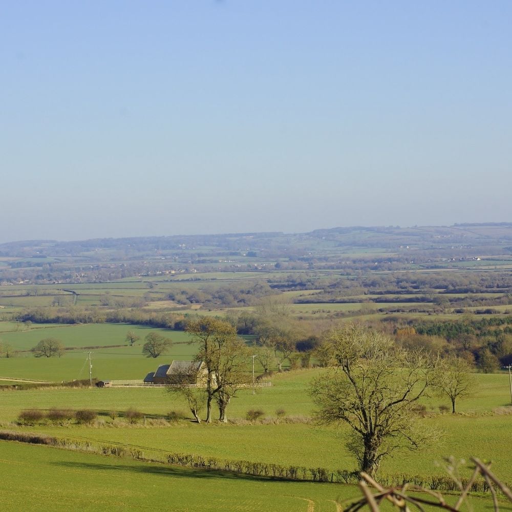 Image for article: Farmland – Private Sale or Open Market - How best to buy or sell