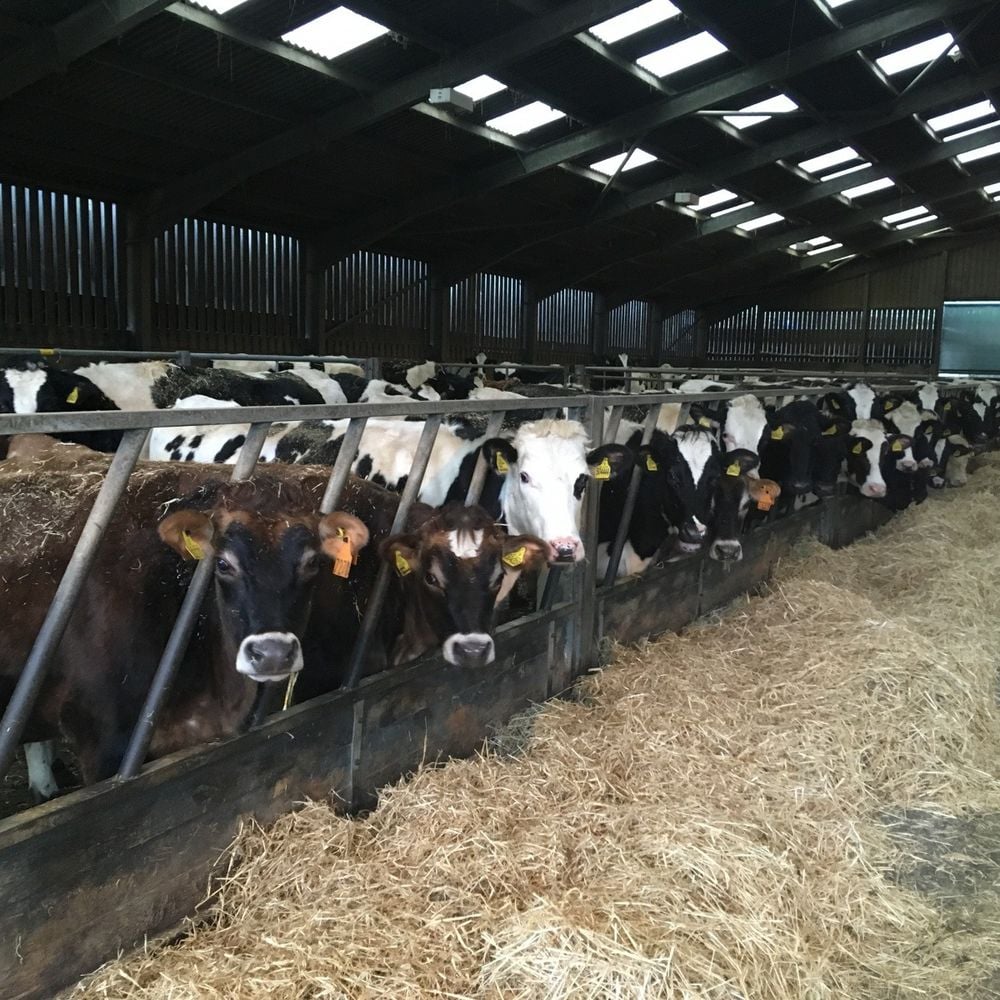 Image for article: The Agricultural Bill is back!