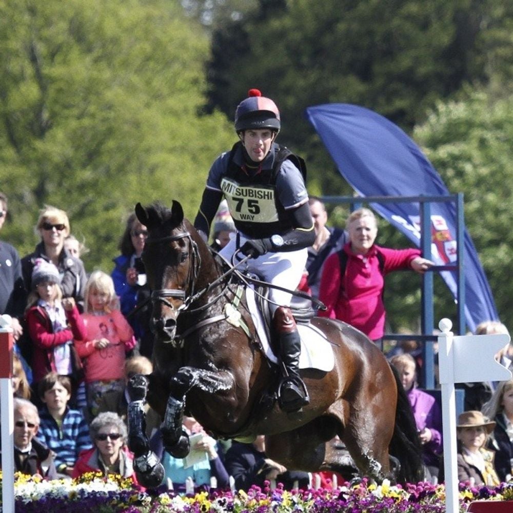 Image for article: Ben Way - Head of Butler Sherborn Equestrian - Preview of Badminton 2024