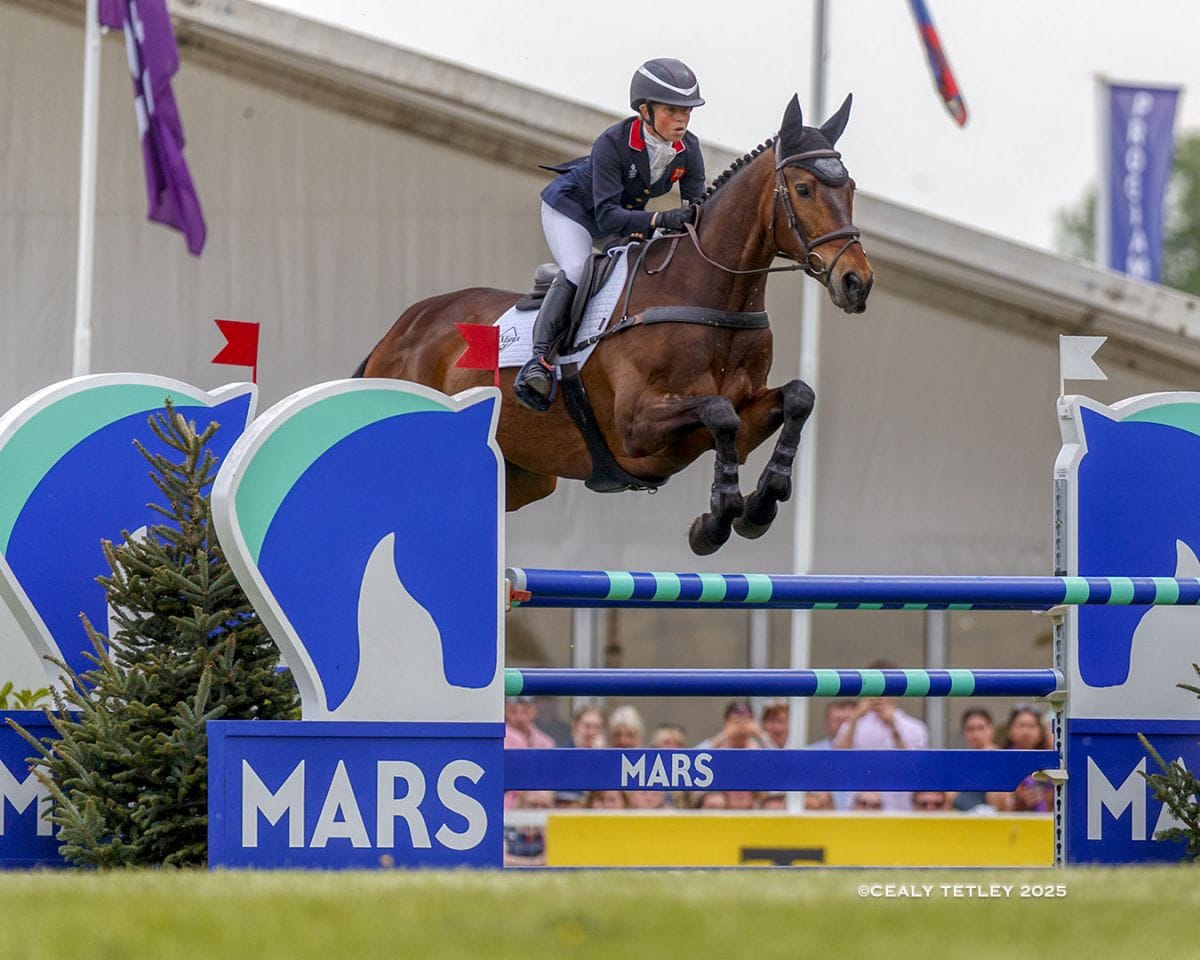 Ros Canter Show Jumping