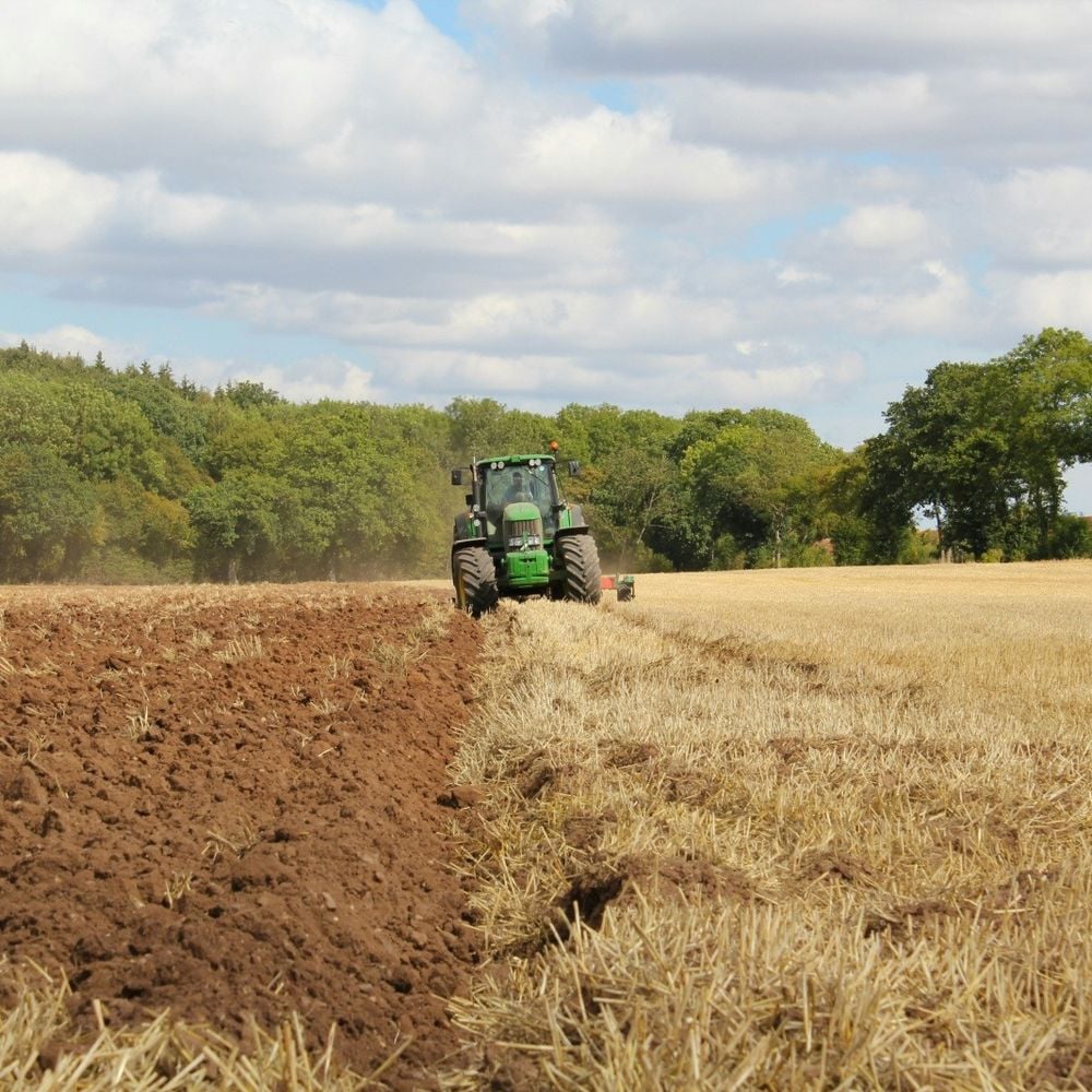 Image for article: The Climate Crisis - the trials and tribulations of arable farming in the Cotswolds- Alternative crop options.