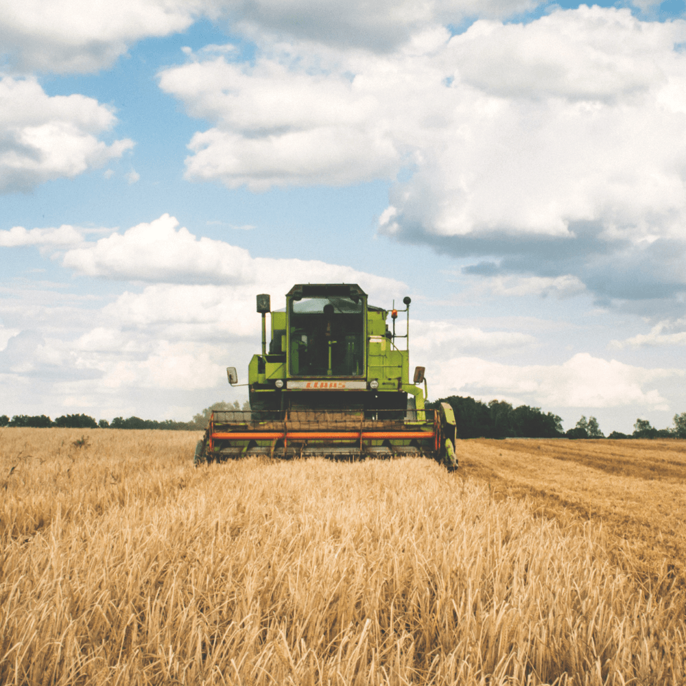 Daily Mail Image Back British Farming