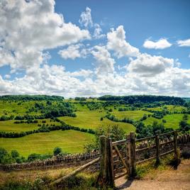 Land stretches into the distance with lush green fields and hedgerows