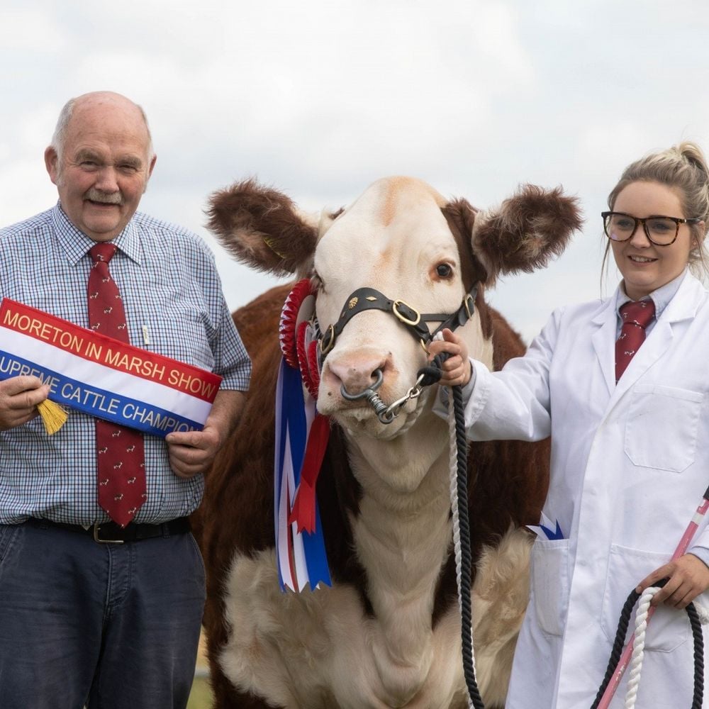 Image for article: Moreton Show - Saturday 4th September - The best Family Day out in the Cotswolds