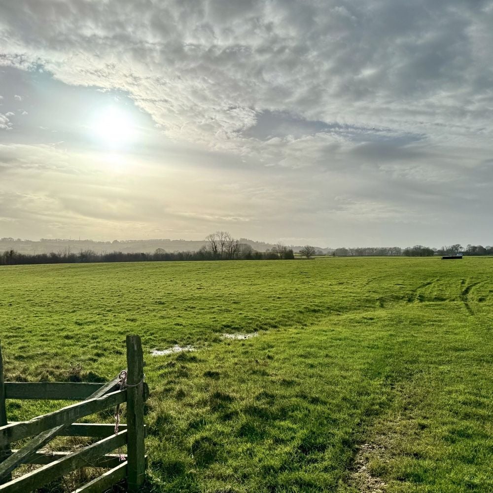 Image for article: Sustainable Farming Incentive - Changes announced by Defra